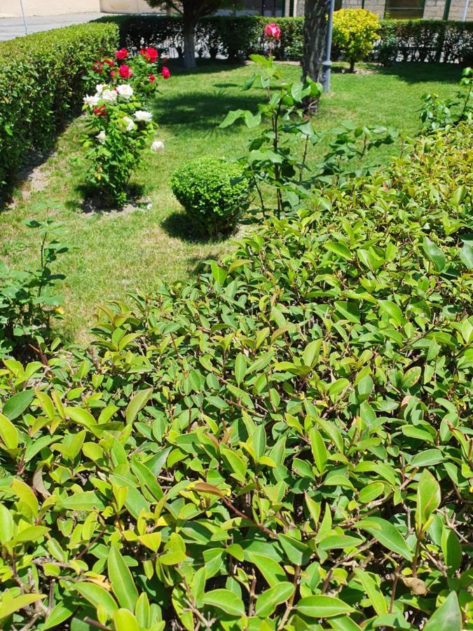 Sheki Avtovagzal Motel المظهر الخارجي الصورة